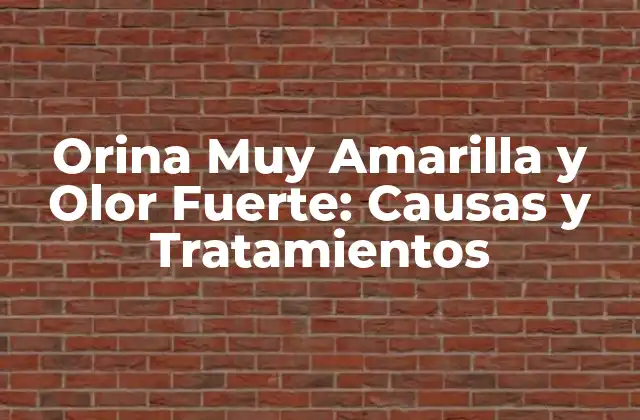 Orina Muy Amarilla y Olor Fuerte: Causas y Tratamientos