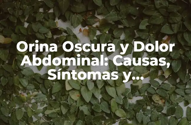Orina Oscura y Dolor Abdominal: Causas, Síntomas y Tratamiento