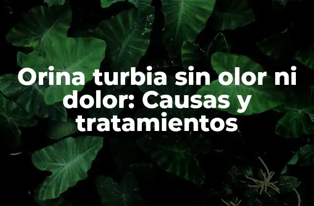 Orina Turbia sin Olor ni Dolor: Causas y Tratamientos