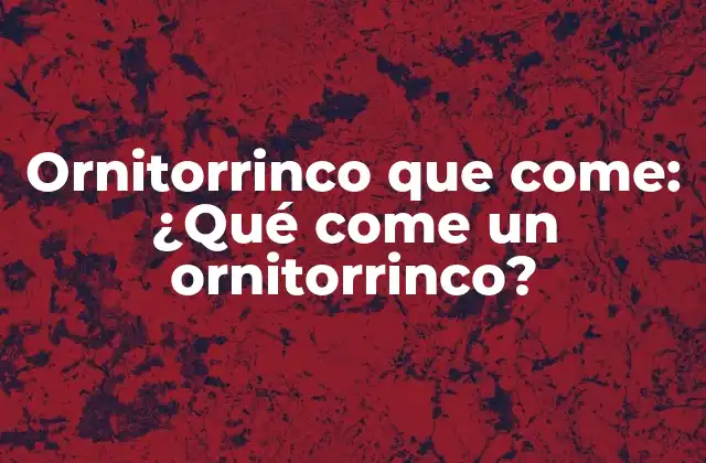 Ornitorrinco que Come: ¿qué Come un Ornitorrinco?