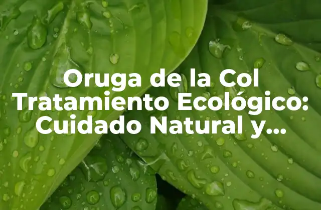 Oruga de la Col Tratamiento Ecológico: Cuidado Natural y Sostenible
