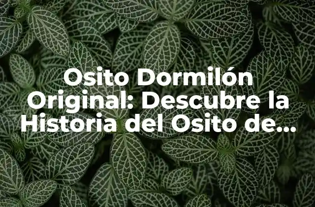 Osito Dormilón Original: Descubre la Historia Del Osito de Teddy Ruxpin