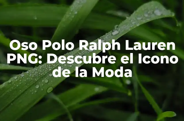 Oso Polo Ralph Lauren Png: Descubre el Icono de la Moda
