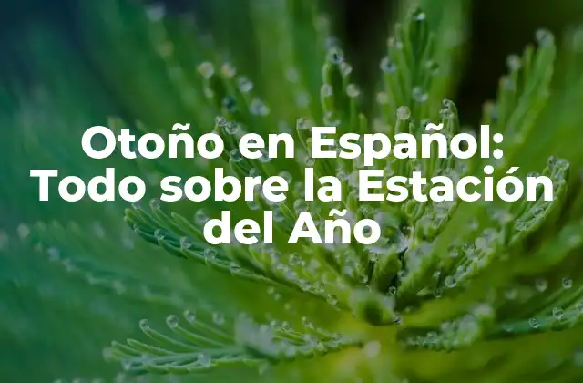 Otoño en Español: Todo sobre la Estación Del Año