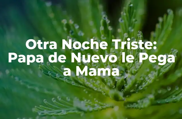 Otra Noche Triste: Papa de Nuevo Le Pega a Mama