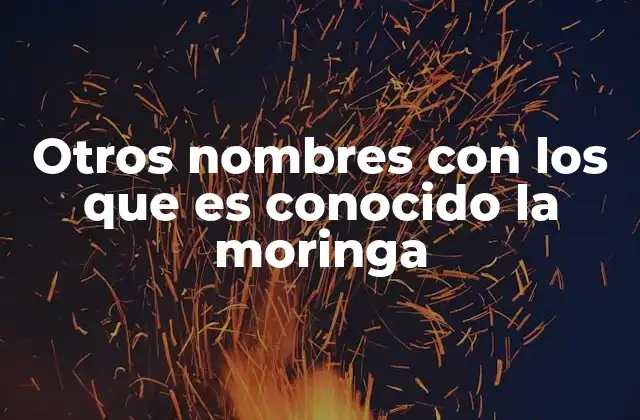 Otros Nombres con los que es Conocido la Moringa