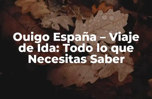 Ouigo España – Viaje de Ida: Todo Lo que Necesitas Saber