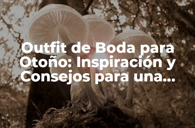 Outfit de Boda para Otoño: Inspiración y Consejos para una Bodaperfecta