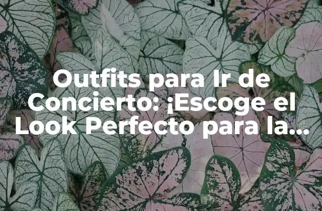Outfits para Ir de Concierto: ¡escoge el Look Perfecto para la Noche!