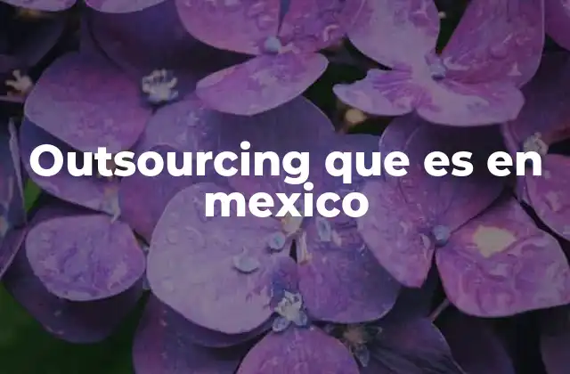 Outsourcing que es en Mexico 2 El papel del outsourcing en la economía mexicana