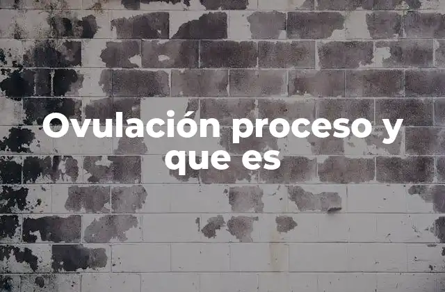 Ovulación Proceso y que es