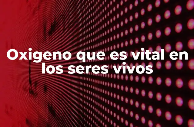 Oxigeno que es Vital en los Seres Vivos