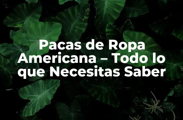 Pacas de Ropa Americana – Todo Lo que Necesitas Saber