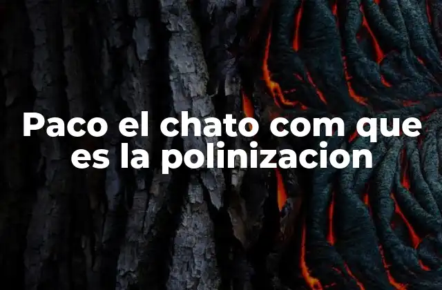 Paco el Chato Com que es la Polinizacion 2 El papel de los polinizadores en la naturaleza