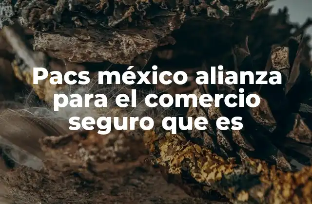 Pacs México Alianza para el Comercio Seguro que es