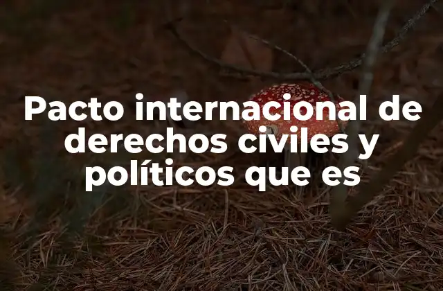 Pacto Internacional de Derechos Civiles y Políticos que es