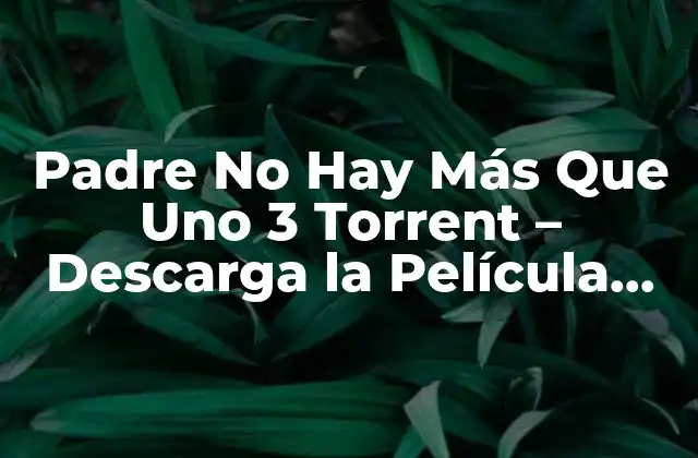 Padre No Hay Más que Uno 3 Torrent – Descarga la Película Comedia Española
