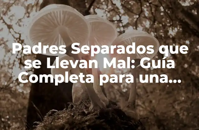 Padres Separados que Se Llevan Mal: Guía Completa para una Coparentalidad Exitosa