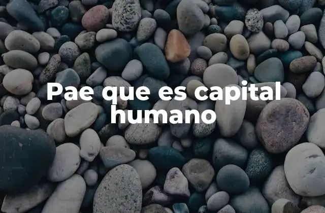 Pae que es Capital Humano