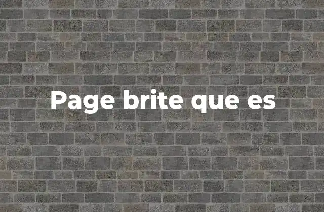 Page Brite que es
