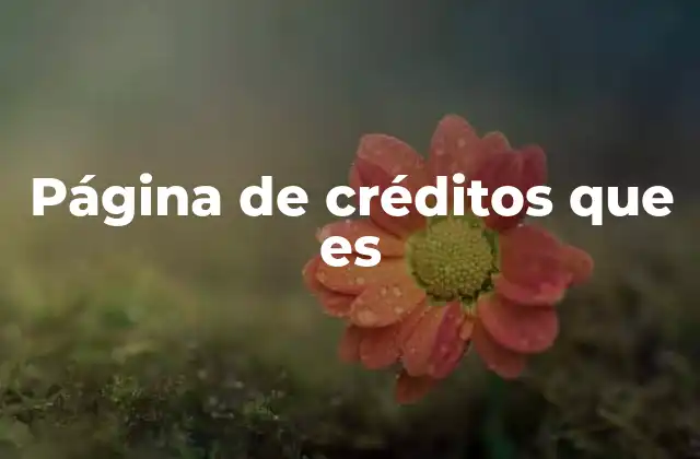 Página de Créditos que es
