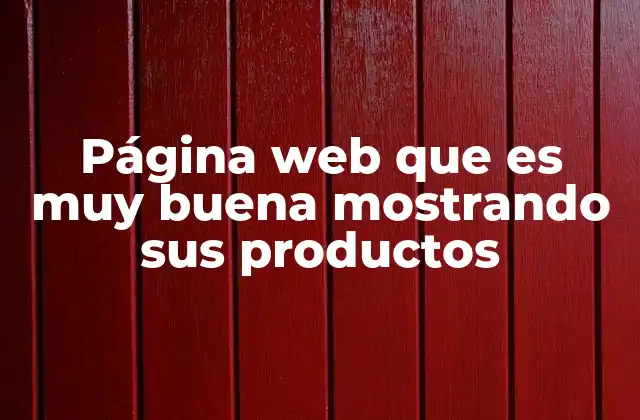 Página Web que es Muy Buena Mostrando Sus Productos