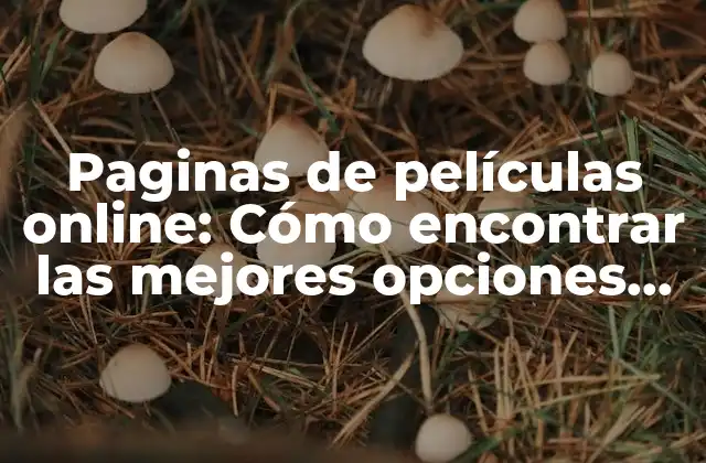 Paginas de Películas Online: Cómo Encontrar las Mejores Opciones para Ver Películas en Línea