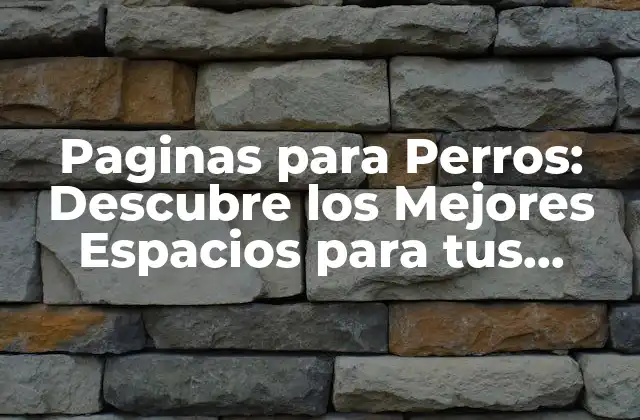 Paginas para Perros: Descubre los Mejores Espacios para Tus Amigos Caninos