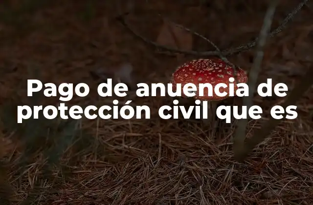 Pago de Anuencia de Protección Civil que es