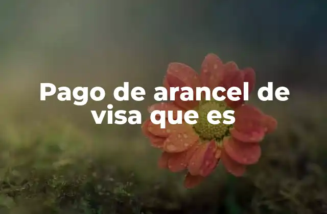 Pago de Arancel de Visa que es