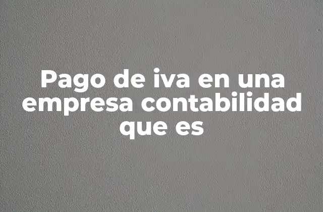 Pago de Iva en una Empresa Contabilidad que es
