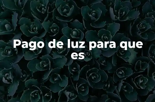 Pago de Luz para que es