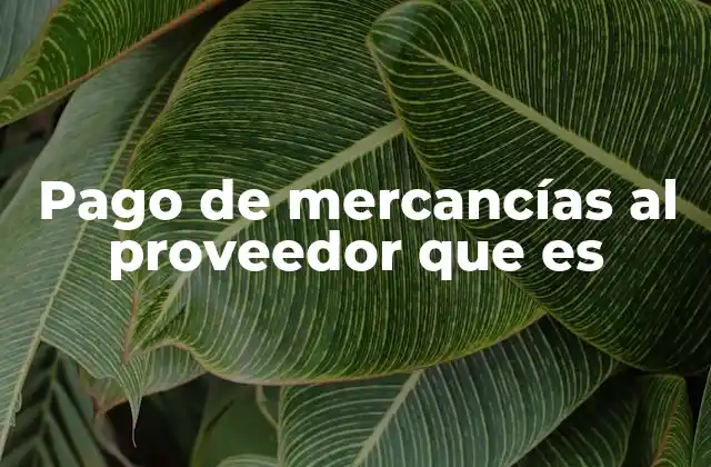 Pago de Mercancías Al Proveedor que es