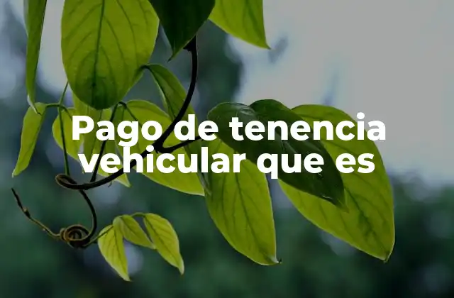Pago de Tenencia Vehicular que es