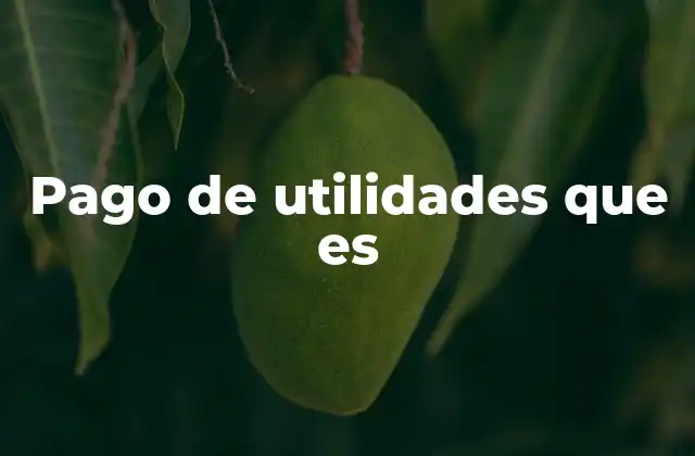 Pago de Utilidades que es