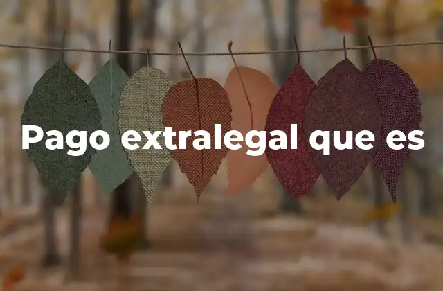 Pago Extralegal que es