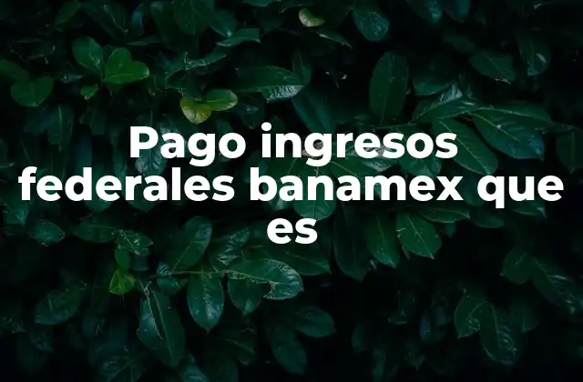 Pago Ingresos Federales Banamex que es