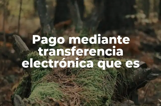 Pago mediante Transferencia Electrónica que es