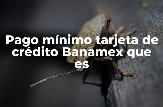 Pago Mínimo Tarjeta de Crédito Banamex que es