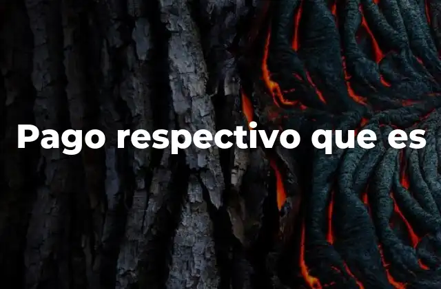 Pago Respectivo que es