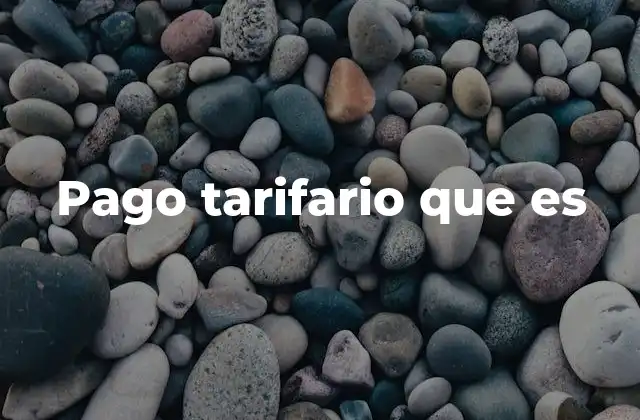Pago Tarifario que es