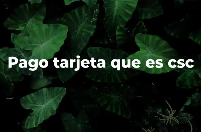 Pago Tarjeta que es Csc