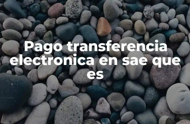 Cómo se integran las transferencias electrónicas en el sistema del SAE
