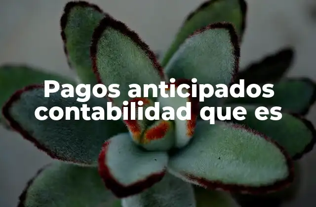 Pagos Anticipados Contabilidad que es