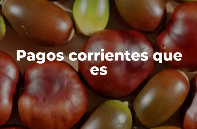 Pagos Corrientes que es