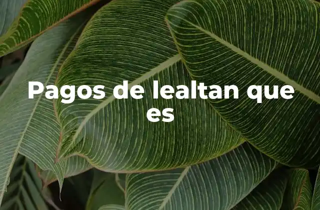 Pagos de Lealtan que es