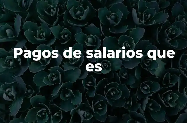 Pagos de Salarios que es