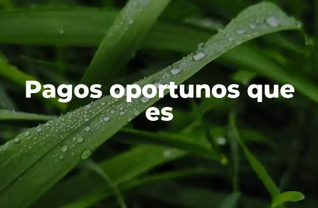 Pagos Oportunos que es 2 La importancia de los pagos a tiempo en la economía empresarial