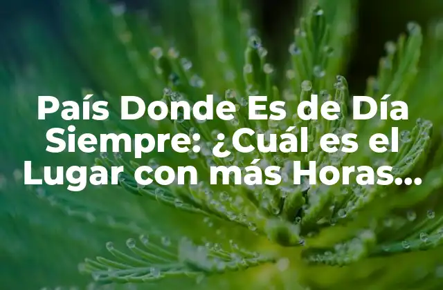 País Donde es de Día Siempre: ¿cuál es el Lugar con Más Horas de Sol Al Año?