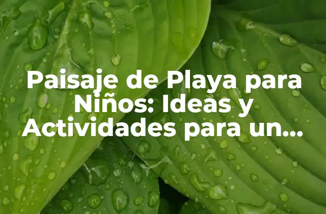 Paisaje de Playa para Niños: Ideas y Actividades para un Verano Increíble